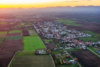 Aerial view of From the east in the district Niederlustadt in Lustadt in the state Rhineland-Palatinate, Germany