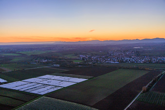 Aerial view of From the east in Insheim in the state Rhineland-Palatinate, Germany