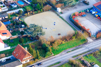 Horse paddock in Zeiskam in the state Rhineland-Palatinate, Germany