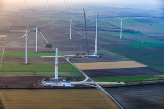 Giant crane for the repowering of the wind farm Minfeld. JUWI is replacing four old turbines (GE 1.5) from 2004 with two new, modern Vestas V162 turbines, each with six MW. in Minfeld in the state Rhineland-Palatinate, Germany
