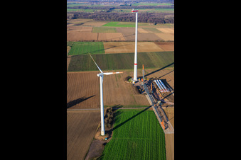 Drone image of Giant crane for the repowering of the wind farm Minfeld. JUWI is replacing four old turbines (GE 1.5) from 2004 with two new, modern Vestas V162 turbines, each with six MW. in Minfeld in the state Rhineland-Palatinate, Germany