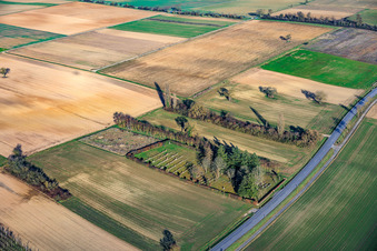 Aerial view of Jewish Cemetery Rülzheim in Rülzheim in the state Rhineland-Palatinate, Germany