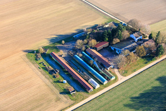 In the Kieseläckern in Wörth am Rhein in the state Rhineland-Palatinate, Germany