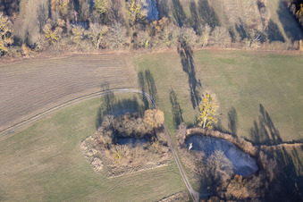 Frozen ponds in the floodplains in Wörth am Rhein in the state Rhineland-Palatinate, Germany