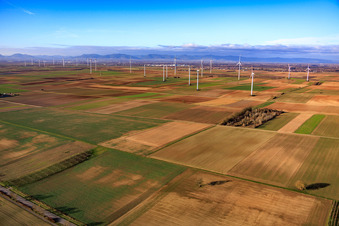 Offenbach and Bellheim wind farm in Herxheim bei Landau in the state Rhineland-Palatinate, Germany