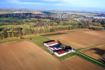 Aerial photograpy of Rosenhof Wine and Sparkling Wine Estate in Wörth am Rhein in the state Rhineland-Palatinate, Germany