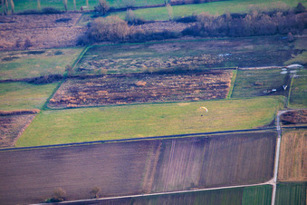 Billigheimer Bruch in the district Mühlhofen in Billigheim-Ingenheim in the state Rhineland-Palatinate, Germany