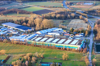 Almost completed new building of the logistics park by HANSAINVEST and DFI-Real-Estate Kandel for FRISCHEPLATTFORM SÜDWEST of Gemüsering Stuttgart GmbH in the district Minderslachen in Kandel in the state Rhineland-Palatinate, Germany from above