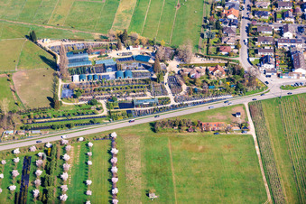 Plant nursery Toskanapark in the district Speyerdorf in Neustadt an der Weinstraße in the state Rhineland-Palatinate, Germany