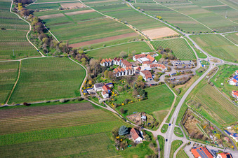 Ob. Mühle with BG RCI in Maikammer in the state Rhineland-Palatinate, Germany
