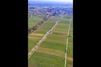 Almond Mile from the southwest (Villa Street) in Edenkoben in the state Rhineland-Palatinate, Germany