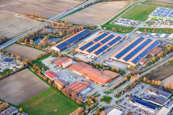 Halls of the Pfalzmarkt for fruit and vegetables eG in Mutterstadt in the state Rhineland-Palatinate, Germany