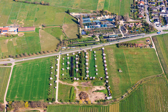 Plant nursery Toskanapark in the district Speyerdorf in Neustadt an der Weinstraße in the state Rhineland-Palatinate, Germany