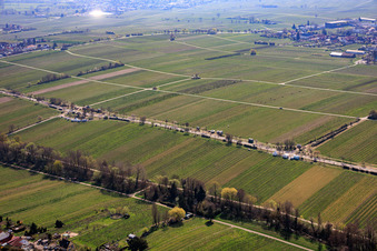 Almond Mile from the north (Villa Street) in Edenkoben in the state Rhineland-Palatinate, Germany