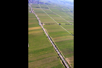 Almond Mile from the southwest (Villa Street) in Edenkoben in the state Rhineland-Palatinate, Germany