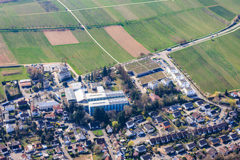 Wollmesheimer Höhe with Wickert Maschinenbau GmbH and WASGAU Frischemarkt Landau in Landau in der Pfalz in the state Rhineland-Palatinate, Germany