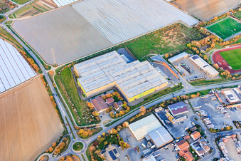 Industrial Park South with Frigo-Trans GmbH Mutterstadt and RWZ-Agrartechnik Mutterstadt and in Mutterstadt in the state Rhineland-Palatinate, Germany