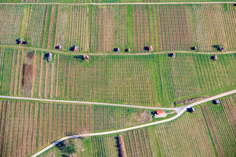 Vineyard huts on the Neuberg of the Dietlinger Klepberg and Ellmendinger Keulebuckel vineyards in the district Dietlingen in Keltern in the state Baden-Wuerttemberg, Germany