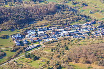 Dieselstraße industrial park with pro-sort GmbH and Ludwig Oßwald carpentry - mattress market in the district Dietlingen in Keltern in the state Baden-Wuerttemberg, Germany