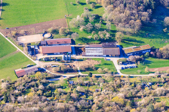 Bischoff Farm in the district Dietlingen in Keltern in the state Baden-Wuerttemberg, Germany