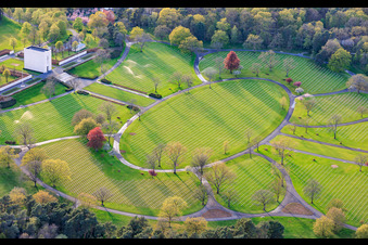 Gravestone rows and parkland at the American Military Cemetery and Memorial Site of Saint-Avold in the district Forêts de Zang et du Steinberg in Saint-Avold in the state Moselle, France