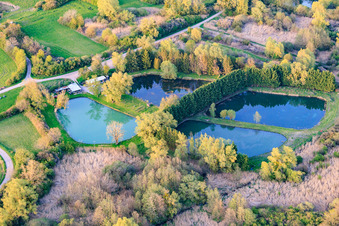 Four ponds on the millrace in Leyweiler in the state Moselle, France