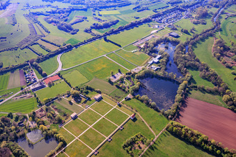 European Cultural Park Bliesbruck-Reinheim with Gallo-Roman villa of Reinheim in the district Reinheim in Gersheim in the state Saarland, Germany