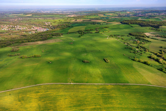 Sheep pastures of the Rimlinger farm in Achen in the state Moselle, France