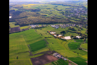 Four ponds on Rue Des ètangs in Metzing in the state Moselle, France