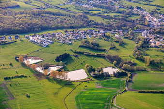 Four ponds on Rue Des ètangs in Metzing in the state Moselle, France