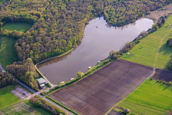 Fish pond Étang de Metzing and Salle Polyvalente L'Ecrin de Metzing at the edge of the forest in Metzing in the state Moselle, France