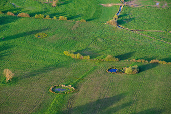 Circular waterholes in meadows in Grostenquin in the state Moselle, France
