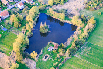 Pond by the millrace in Leyweiler in the state Moselle, France