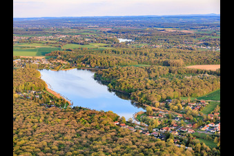 Etang des marais in the forest in Rémering-lès-Puttelange in the state Moselle, France
