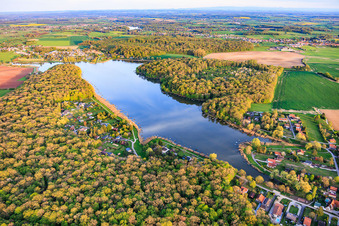 Etang des marais in the forest in Rémering-lès-Puttelange in the state Moselle, France