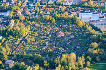 Allotment Garden Association in Landau in der Pfalz in the state Rhineland-Palatinate, Germany