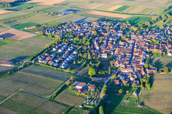 From the west in Impflingen in the state Rhineland-Palatinate, Germany