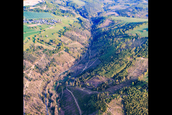 Thuringian forest areas in the Sornmitz valley, severely damaged by bark beetles, with the B90 highway. in the district Thierbach in Remptendorf in the state Thuringia, Germany