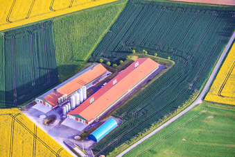 Animal breeding halls of fattening farm Hagel in the district Messenfeld in Ebensfeld in the state Bavaria, Germany