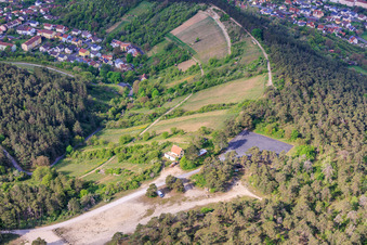 Vineyards of terroir f Hammelburg - Viticulture in Franconia in Hammelburg in the state Bavaria, Germany
