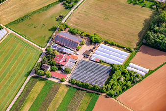 Hof Gut Ruppertzaint natural agriculture GmbH & Co. KG in the district Gänheim in Arnstein in the state Bavaria, Germany