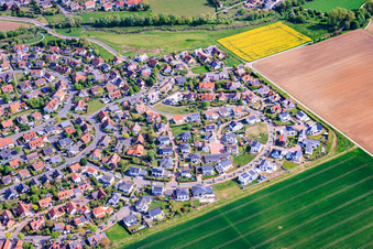 Tree Name Quarter in Werneck in the state Bavaria, Germany