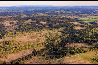 Former inner-German border between Bavaria and Thuringia with Thuringian forest areas severely damaged by bark beetles in Lehesten in the state Thuringia, Germany
