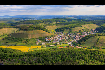 Vineyards between valley and forest facing south in Ramsthal in the state Bavaria, Germany