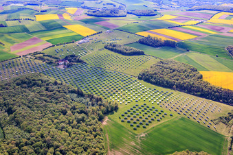 The Gut Erlasee solar park, currently being dismantled, features sun-tracking panels. in the district Büchold in Arnstein in the state Bavaria, Germany