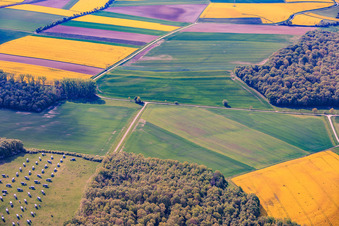 The Gut Erlasee solar park, currently being dismantled, features sun-tracking panels. in the district Büchold in Arnstein in the state Bavaria, Germany