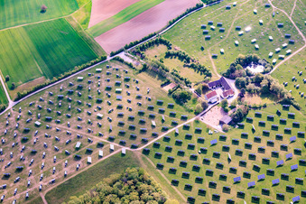 The Gut Erlasee solar park, currently being dismantled, features sun-tracking panels. in the district Büchold in Arnstein in the state Bavaria, Germany