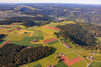 Relocated farms on the plateau from the north in Schramberg in the state Baden-Wuerttemberg, Germany