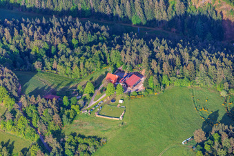 Relocated farms in Hinterholz in the district Kienbächle in Schiltach in the state Baden-Wuerttemberg, Germany