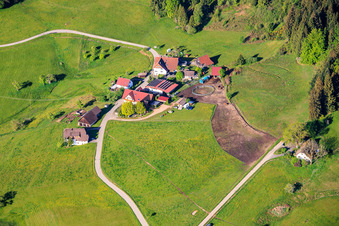 Mooswald with Käppelebauer and Biggi's sewing room in the district Diesenhof in Lauterbach in the state Baden-Wuerttemberg, Germany